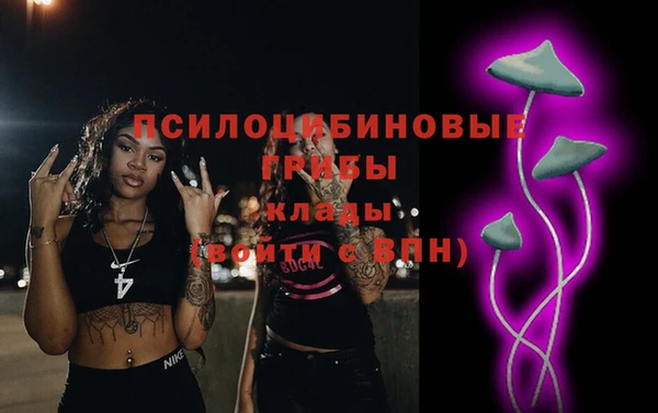 бошки Беломорск