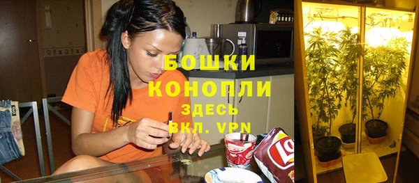 амфетамин Белокуриха