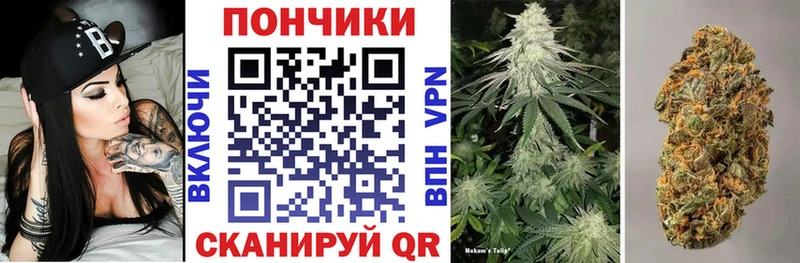 Каннабис сатива  darknet как зайти  Великий Устюг 